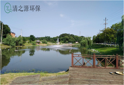 城市的污水存在低碳相對(duì)高氮磷的水質(zhì)如何處理