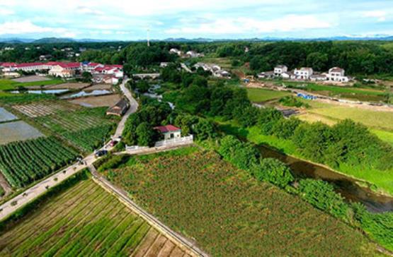 農(nóng)村污水治理企業(yè)哪家好？雖然農(nóng)村污水行業(yè)市場(chǎng)空間大，但是相對(duì)于城市污水處理廠，農(nóng)村污水治理對(duì)水務(wù)企業(yè)的吸引力偏弱。相比城市，農(nóng)村污水處理市場(chǎng)更分散，專業(yè)人員少，對(duì)運(yùn)維的要求更直接、迫切。